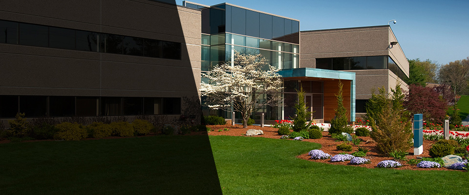 Eden Landscapers